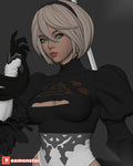 2b Nier Automata Character