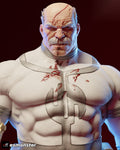 Conquest By E.S Monster