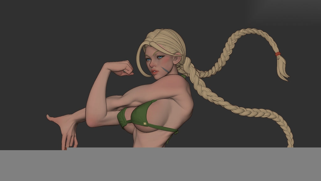 Cammy Character