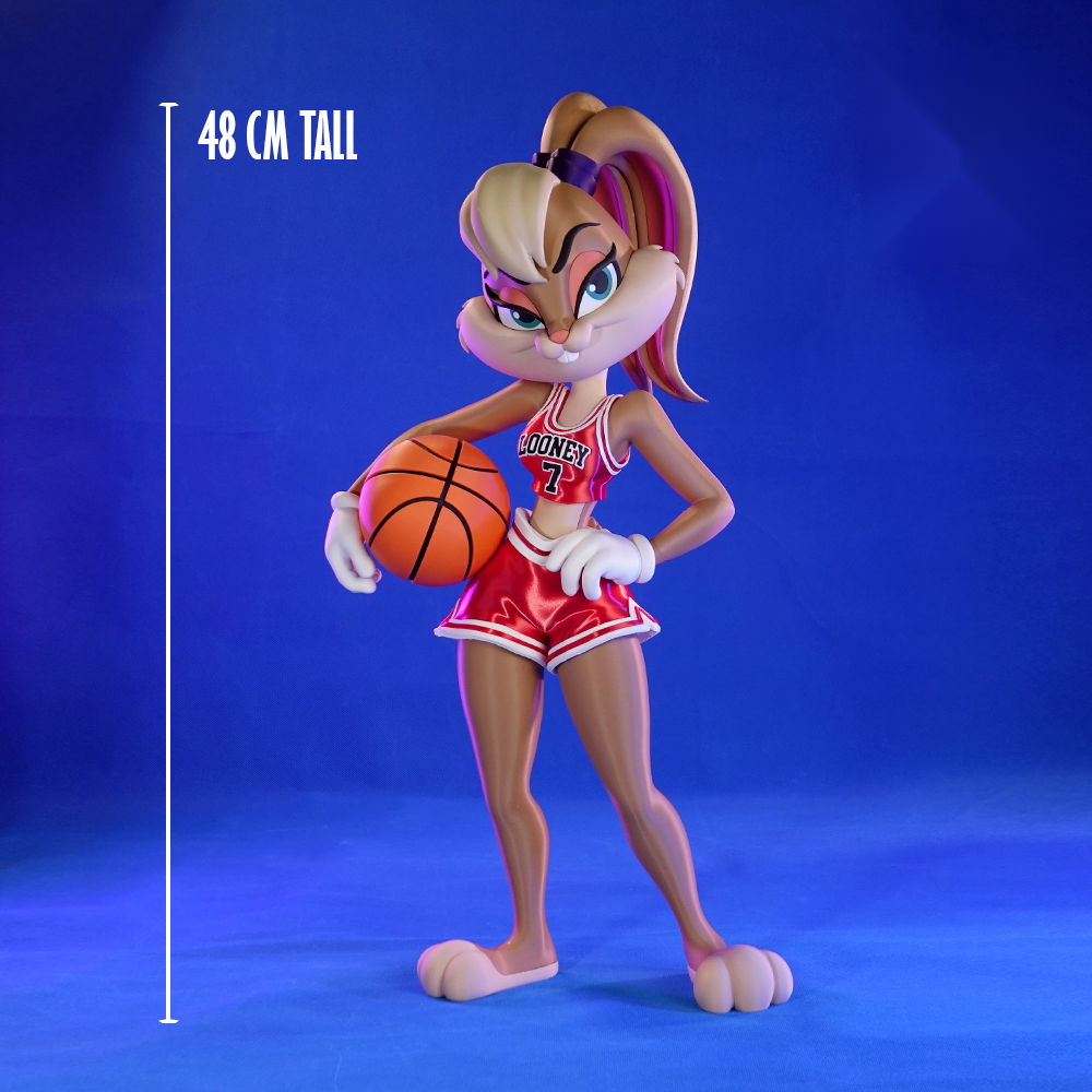 Lola Bunny x Chicago Bulls
