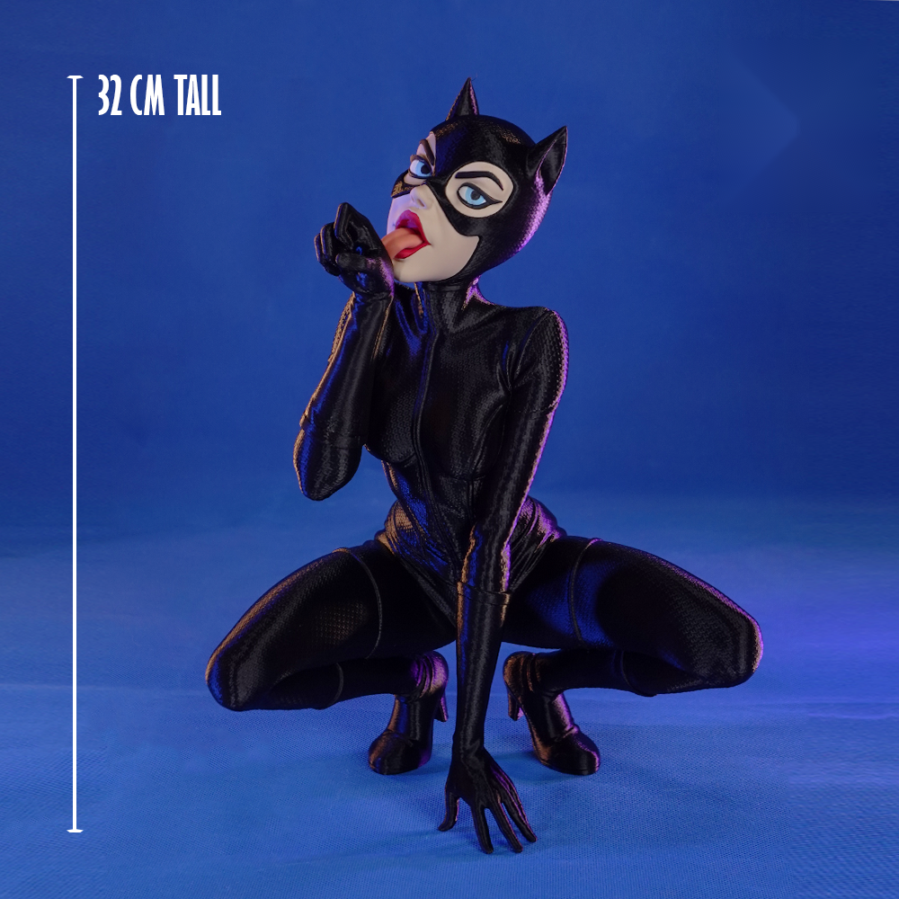 Catwoman – Queen of Gotham Heists