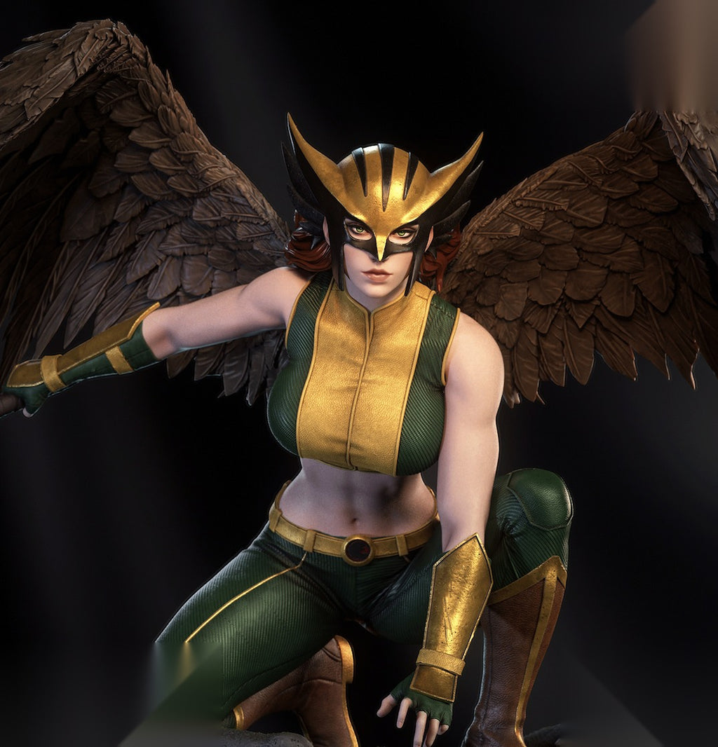 Hawkgirl Character 3D print 4