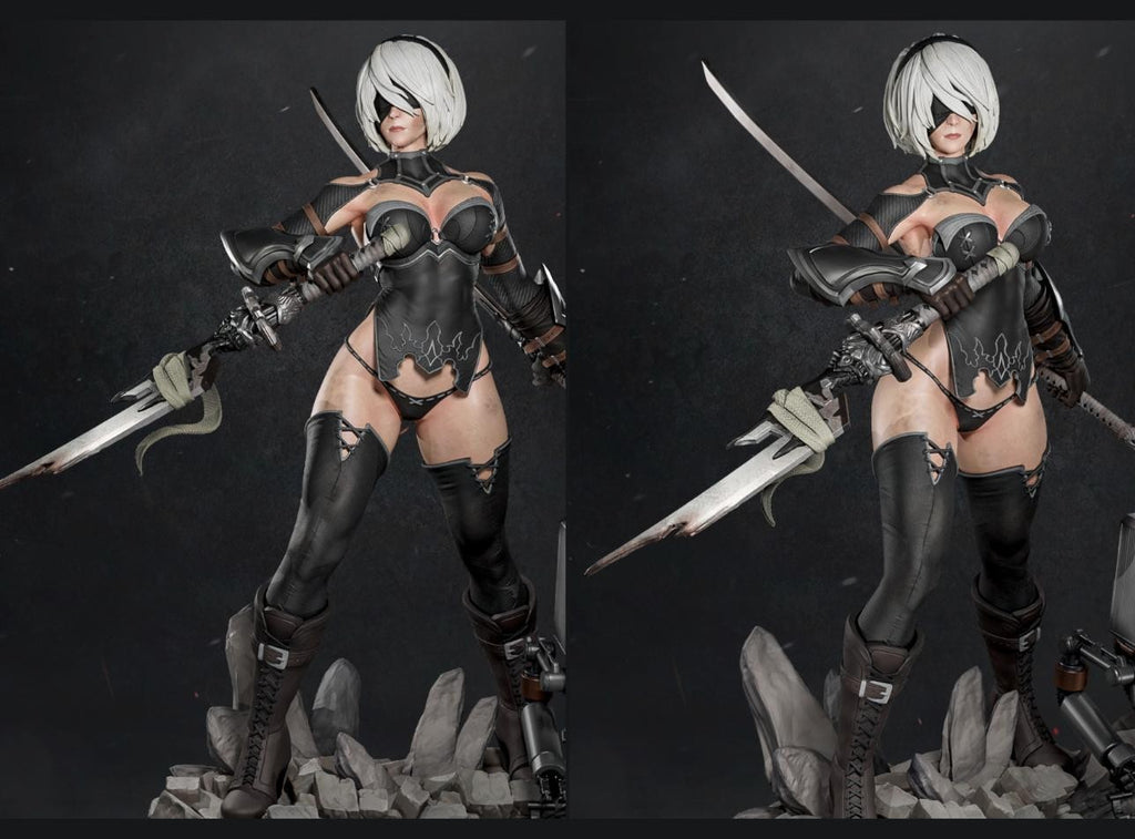 2B & A2 (Includes 2 Models)