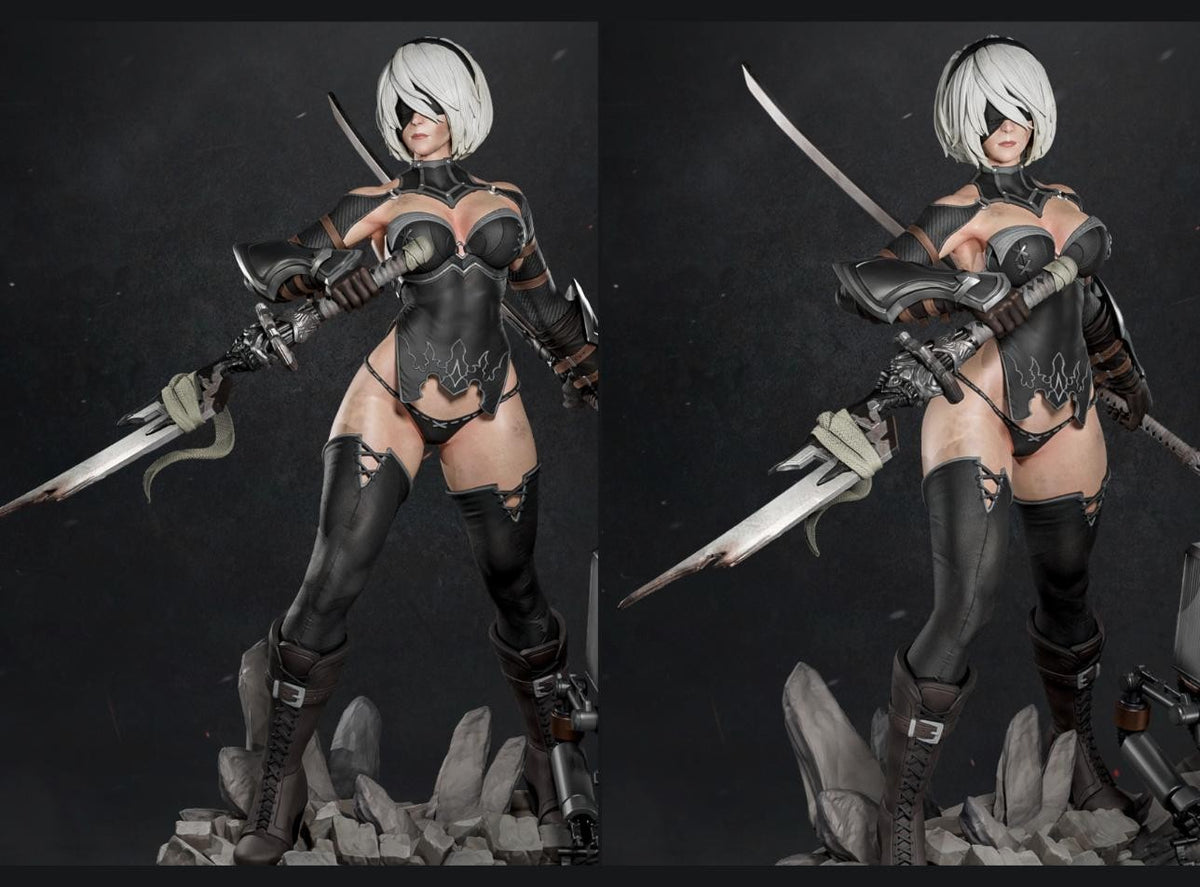 2B & A2 (Includes 2 Models)