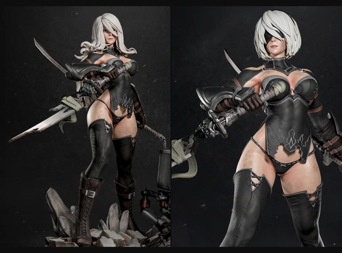2B & A2 (Includes 2 Models)