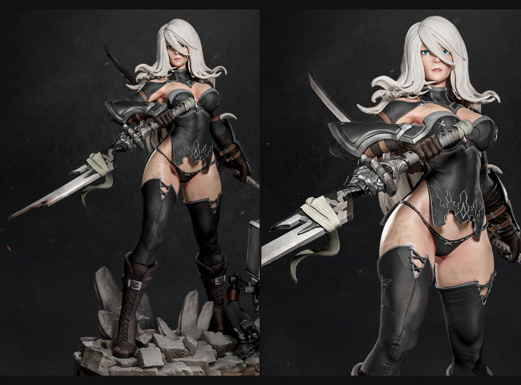 2B & A2 (Includes 2 Models)