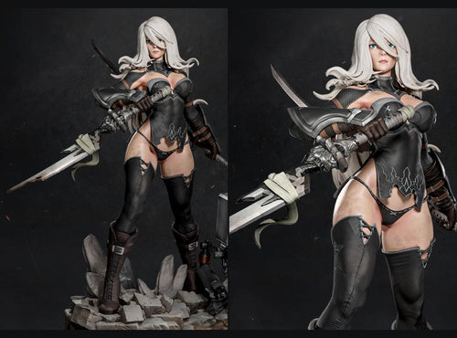 2B & A2 (Includes 2 Models)
